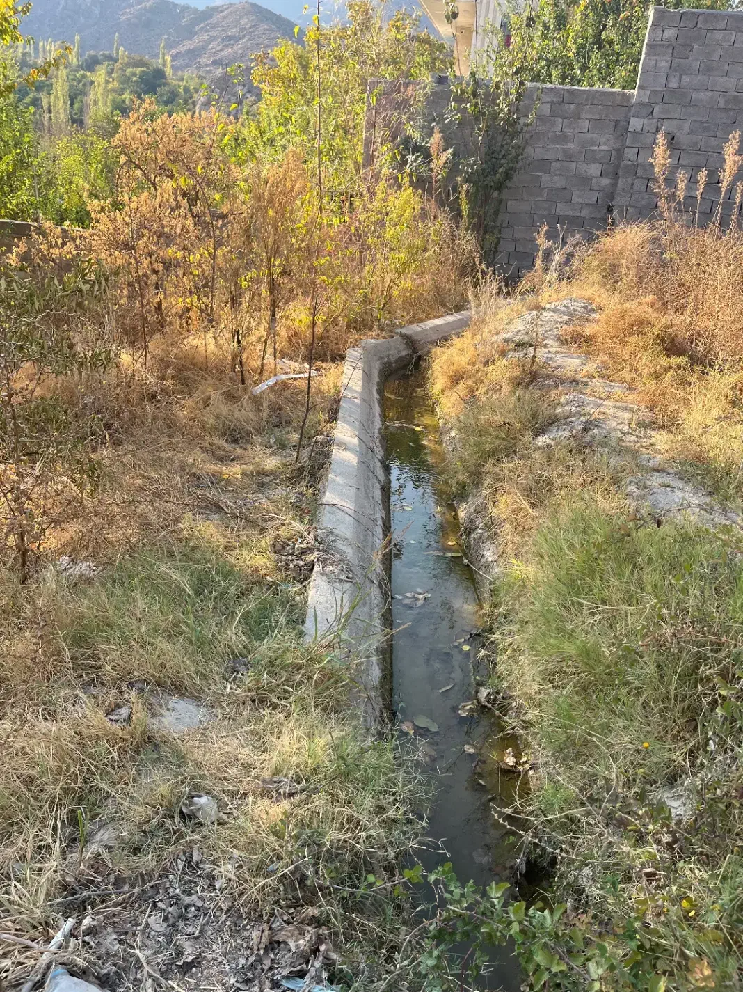 باغ و زمین ویلایی دلفارد|فروش زمین و ملک کلنگی|درب بهشت, |دیوار