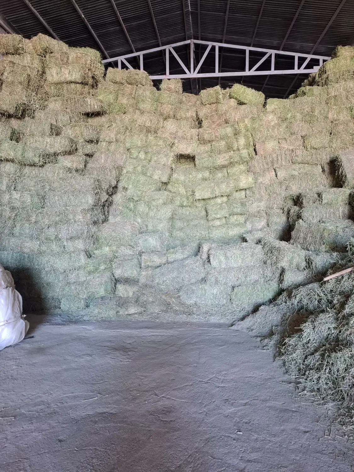 یونجه درجه یک|خدمات باغبانی و درختکاری|شازند, |دیوار