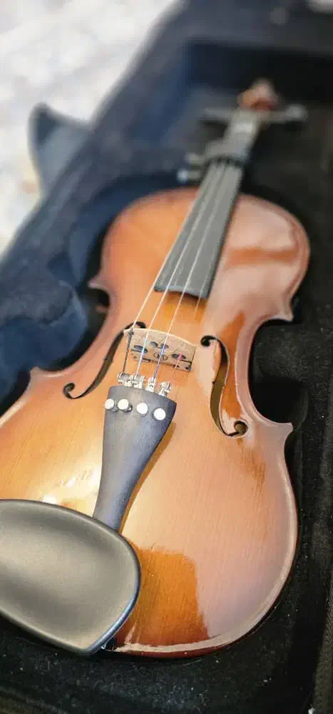 ویلن|ویولن|اسلام‌شهر, باغ فیض|دیوار