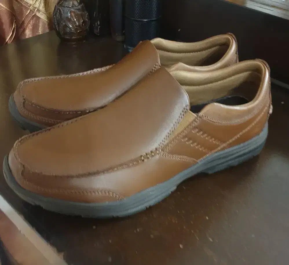 کفش اسکیچرزاصل ویتنام|کیف، کفش، کمربند|تنکابن, |دیوار