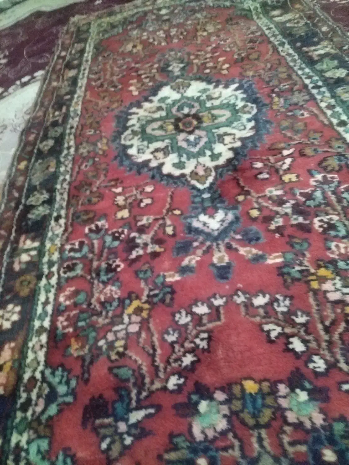 فرش کناره دست باف ناب|فرش|کرمانشاه, |دیوار