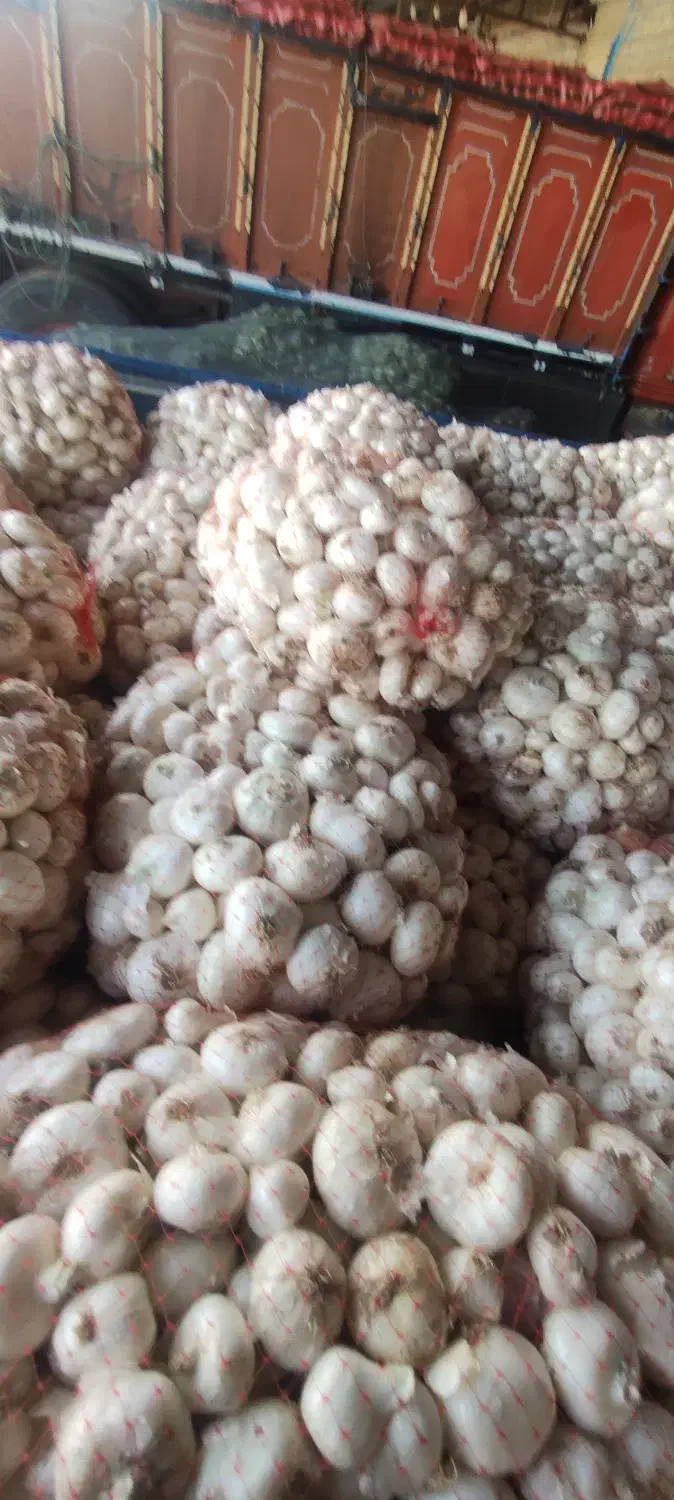 پیاز سفید محلی درجه 1|خوردنی و آشامیدنی|تربتحیدریه, کلاته توکلی|دیوار