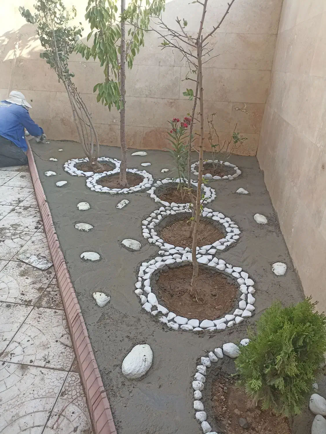 خدمات فضای سبز وباغبانی (کاشت چمن،سم پاشی،علف زنی)|خدمات باغبانی و درختکاری|تبریز, |دیوار