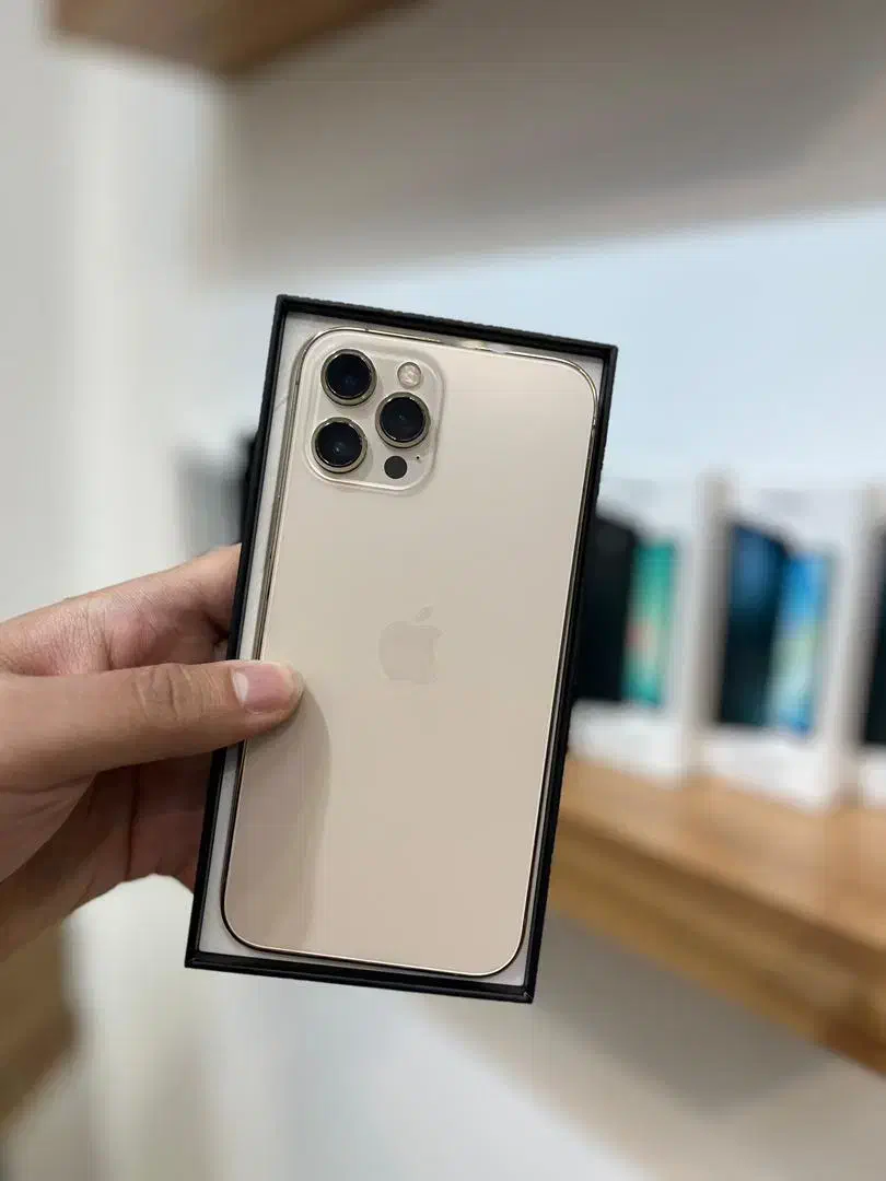 آیفون ۱۲ /۲۵۶|موبایل|تهران, صادقیه|دیوار