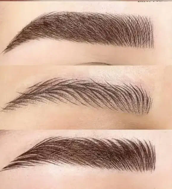 فیبروز|خدمات آرایشگری و زیبایی|سبزوار, ولیعصر (نجار آباد)|دیوار