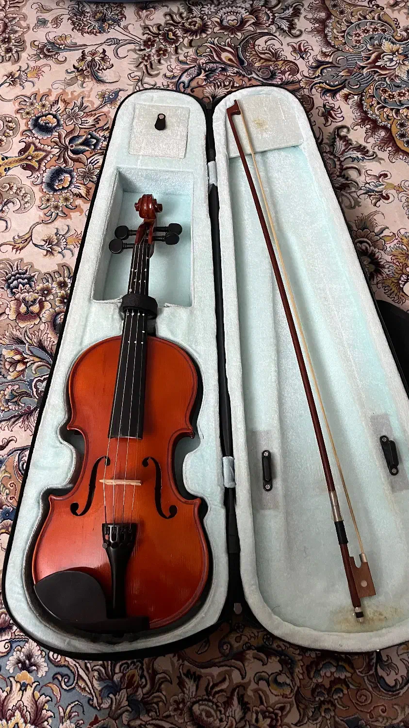 ویولن رناتو|ویولن|تهران, باغ فیض|دیوار