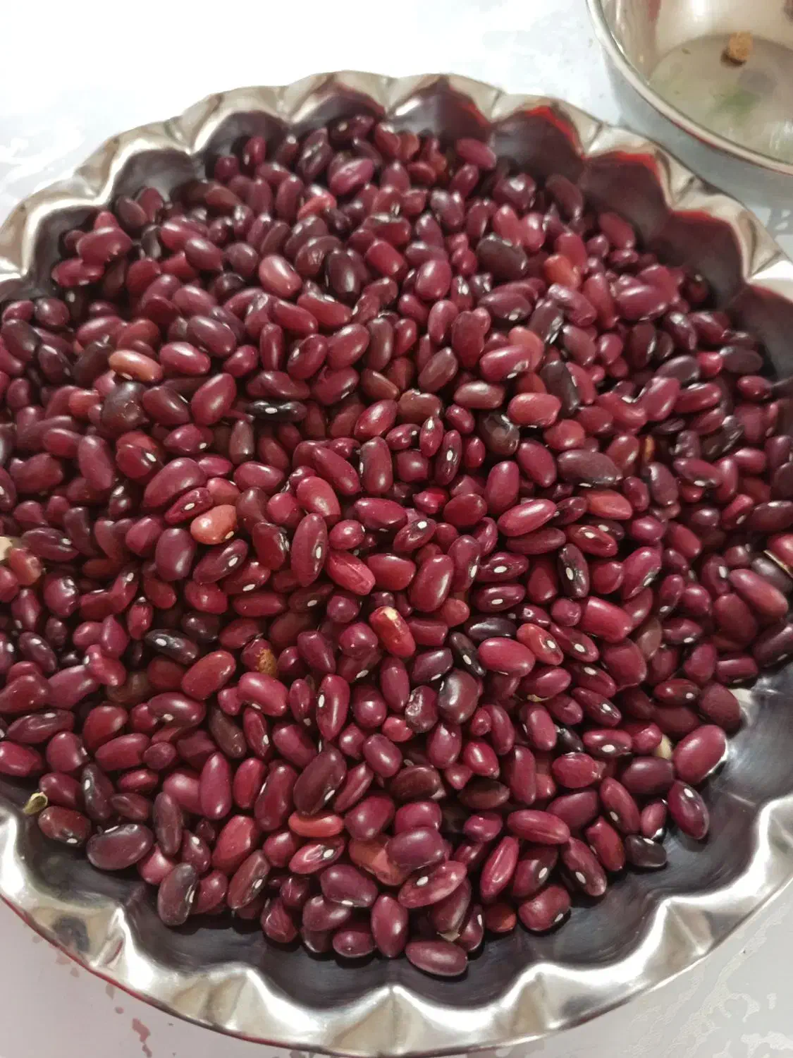 لوبیا قرمز بومی|خوردنی و آشامیدنی|فولادشهر, C4|دیوار