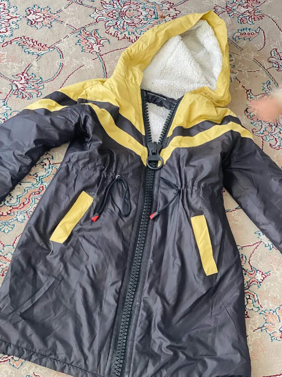 کاپشن|لباس|چناران, |دیوار