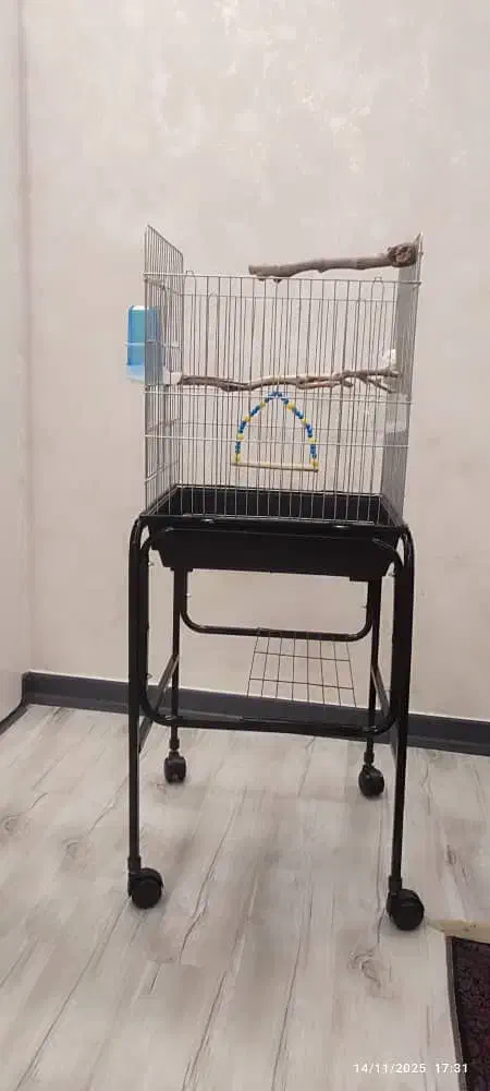 قفس با پایه|لوازم جانبی حیوانات|تهران, مختاری|دیوار