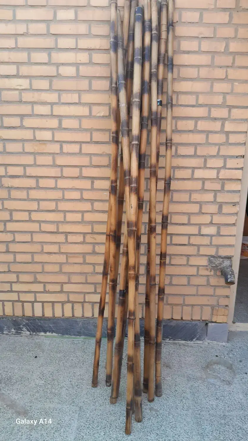 چوب بامبو سایز ۳ سانت ارتفاع ۲/۲۰|صنایع دستی و سایر لوازم تزئینی|بندر ماهشهر, |دیوار