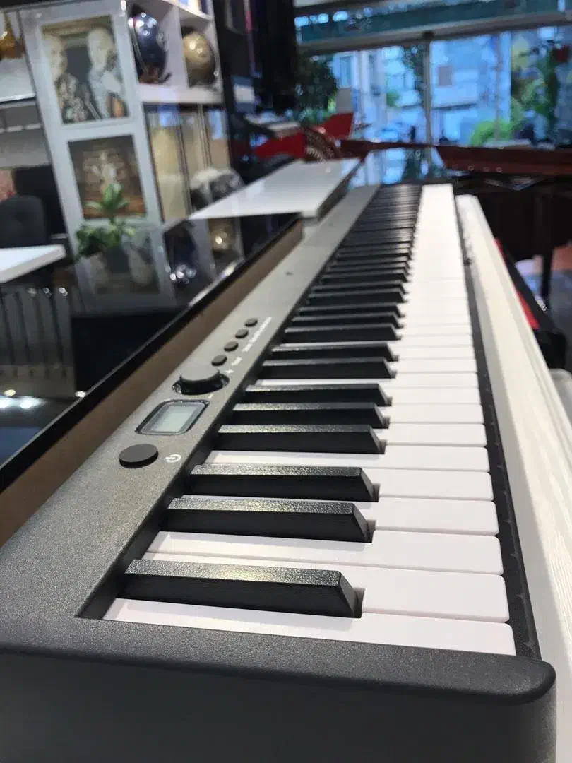 پیانو تاشو برند کونیکس|پیانو، کیبورد، آکاردئون|مشهد, سجاد شهر|دیوار