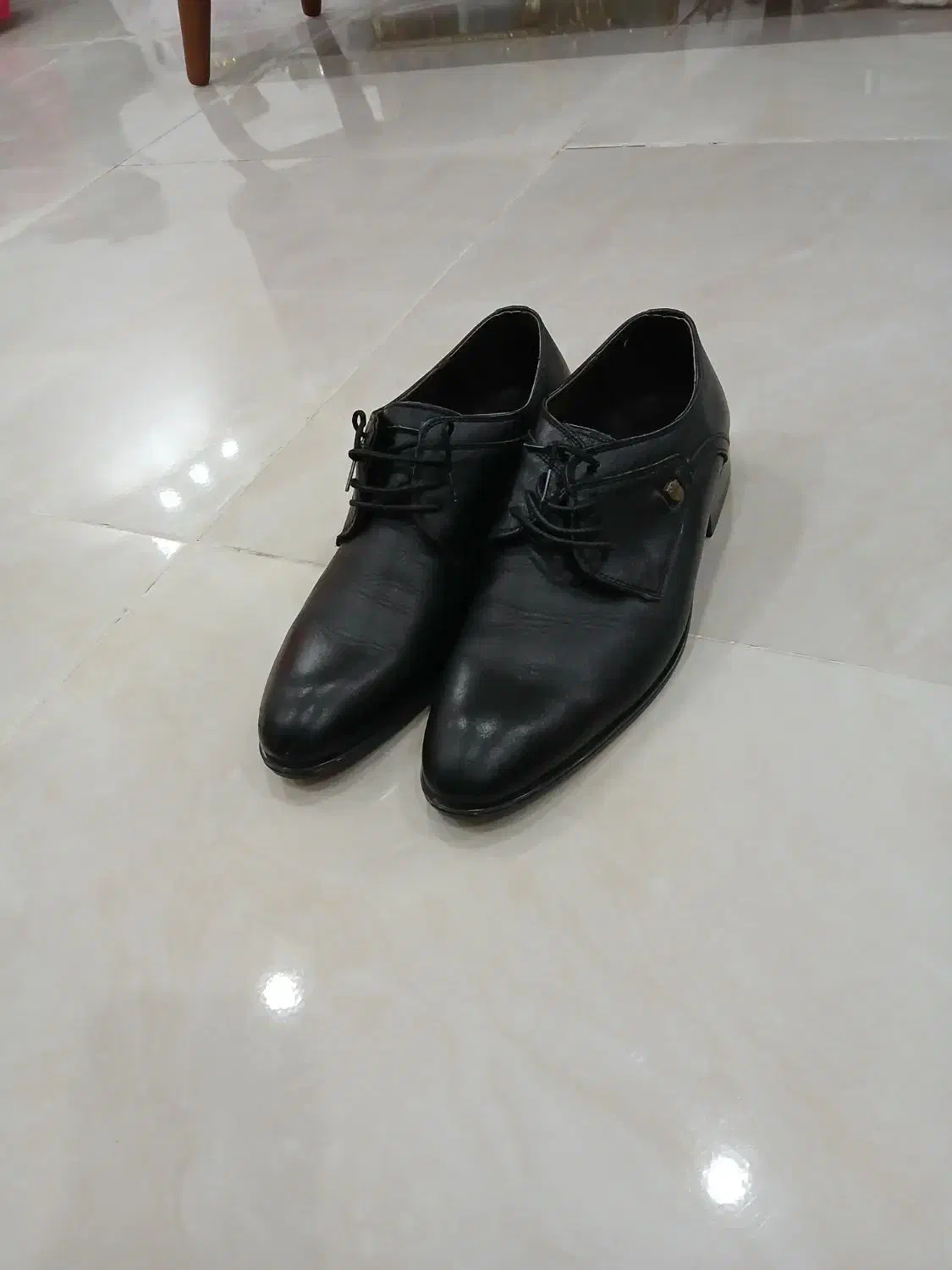 کفش مجلسی|کیف، کفش، کمربند|اردبیل, |دیوار