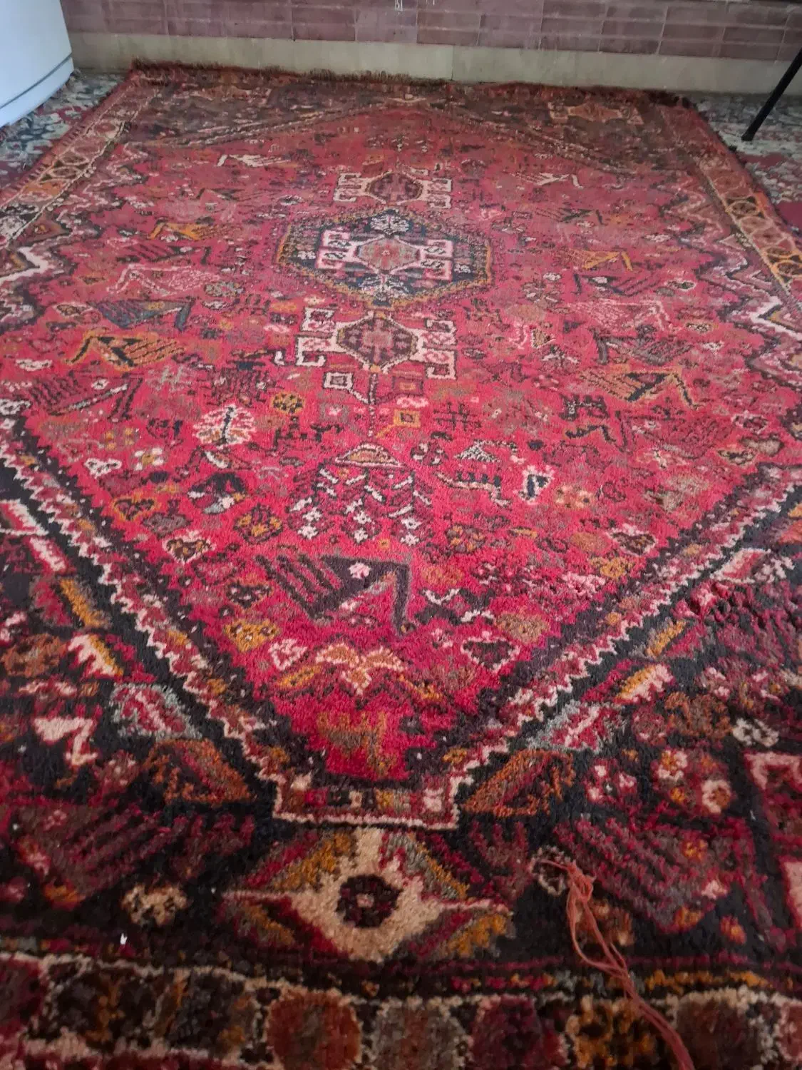 قالی دست باف ۶متری وتمیز مال ۱۰۰سال پیش هست|فرش|شیراز, میانرود|دیوار