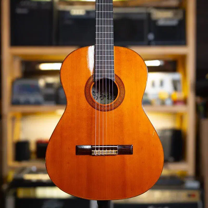 گیتار اسپانیایی به همراه پک ویژه|گیتار، بیس، امپلیفایر|مشهد, شهید فرامرز عباسی|دیوار