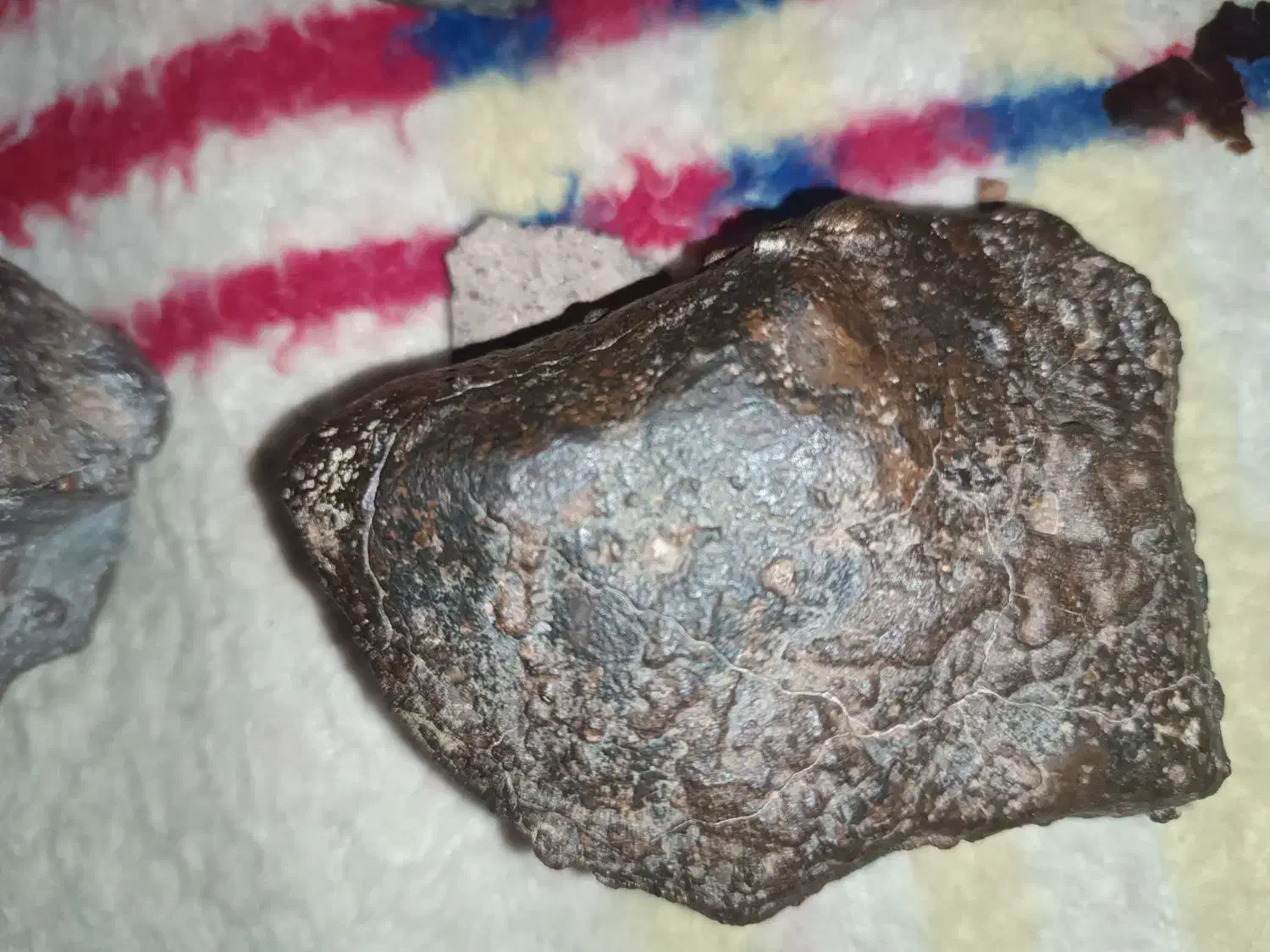 شهاب سنگ فروشی 500|کلکسیون اشیاء عتیقه|بم, |دیوار