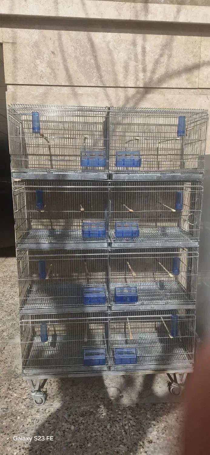 قفس هشت خان اردشیری|لوازم جانبی حیوانات|شیراز, دباغ خانه|دیوار