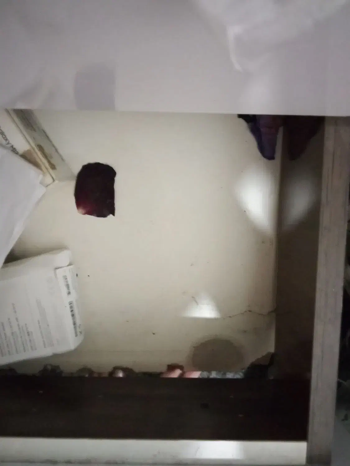 آینه قدی ارایش|تخت و سرویس خواب|مشهد, رده|دیوار