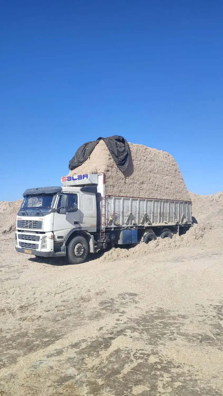 کاه باگاس نیشکر امروزی سفید سفید|عمدهفروشی|خورموج, |دیوار