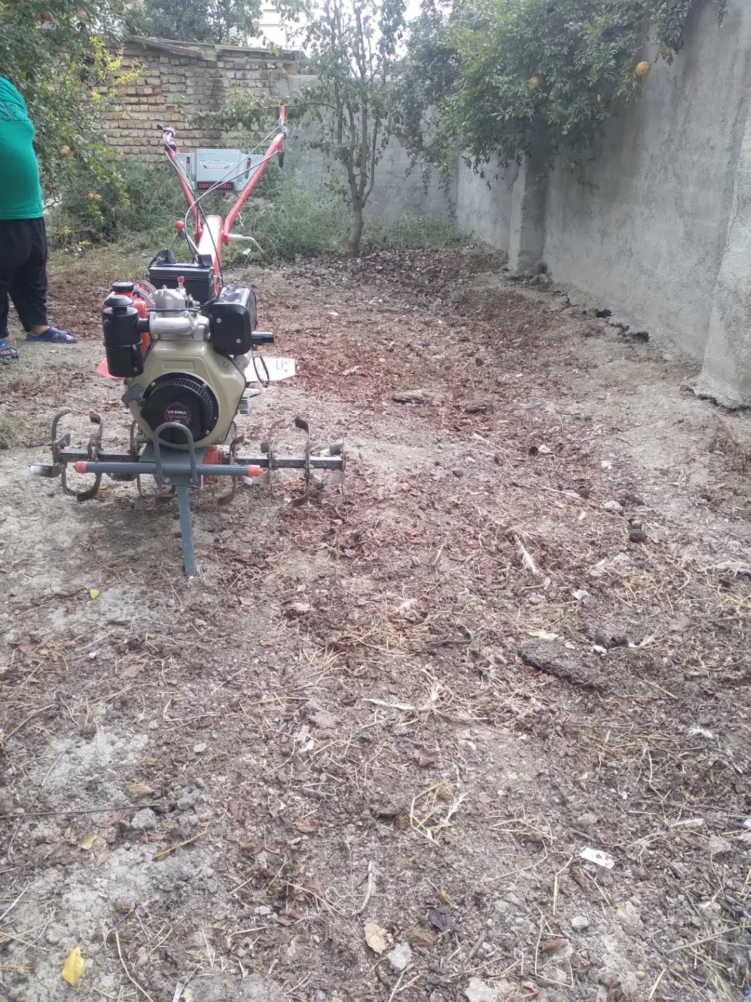 کار|خدمات باغبانی و درختکاری|گرگان, |دیوار