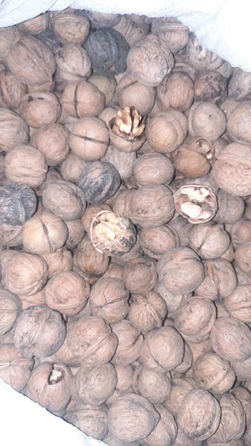 گردو انجیر خرما قصب شیره انگور|خوردنی و آشامیدنی|شیراز, مسلم|دیوار