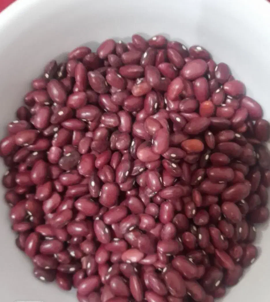 لوبیا قرمز ۱۷ کیلو|خوردنی و آشامیدنی|اقلید, |دیوار