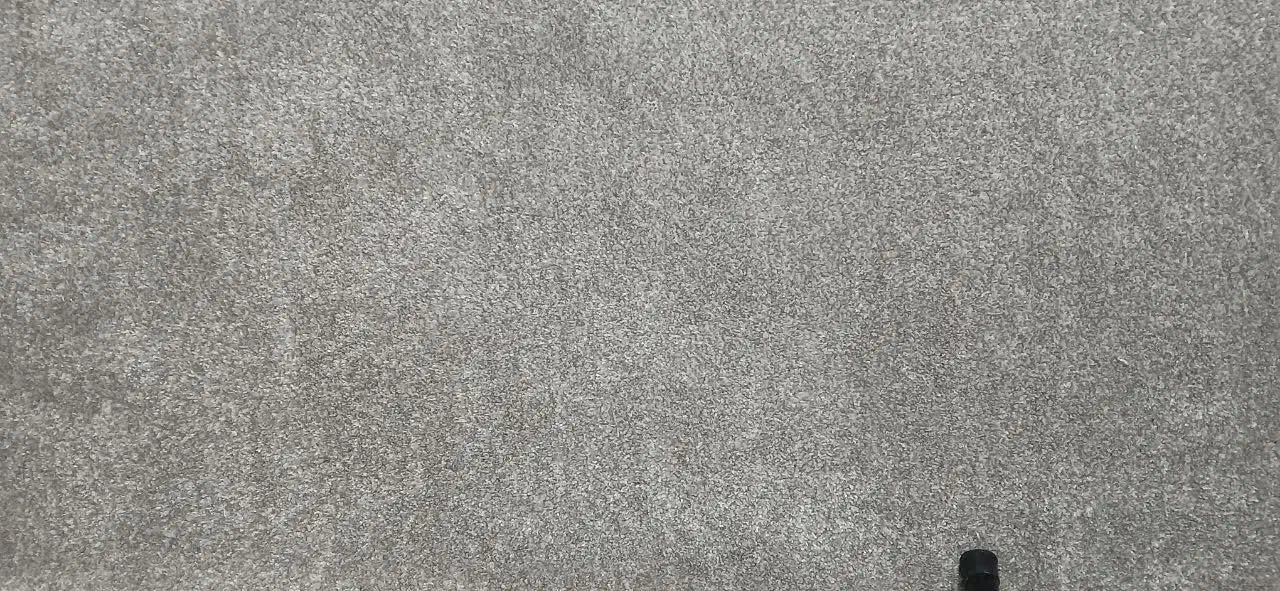 پالاز موکت و فرش|موکت|همدان, |دیوار