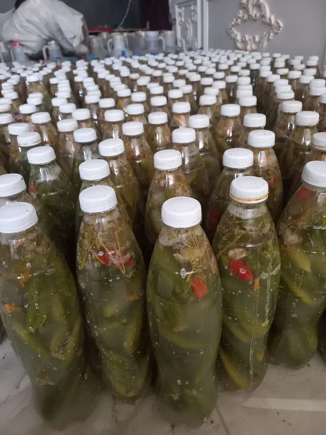 خیارشور بطری ودبه.ترد.ادویه .کره مغزیجات.مانکن|خوردنی و آشامیدنی|بجنورد, |دیوار