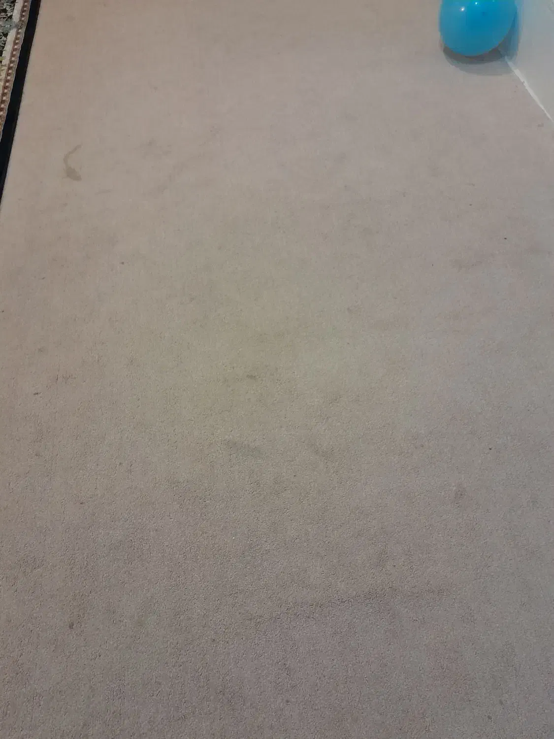 سه عدد پالاز موکت ۱۲متری|موکت|دهلران, |دیوار