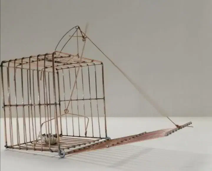 تله قفسی سهره|لوازم جانبی حیوانات|اشتهارد, |دیوار