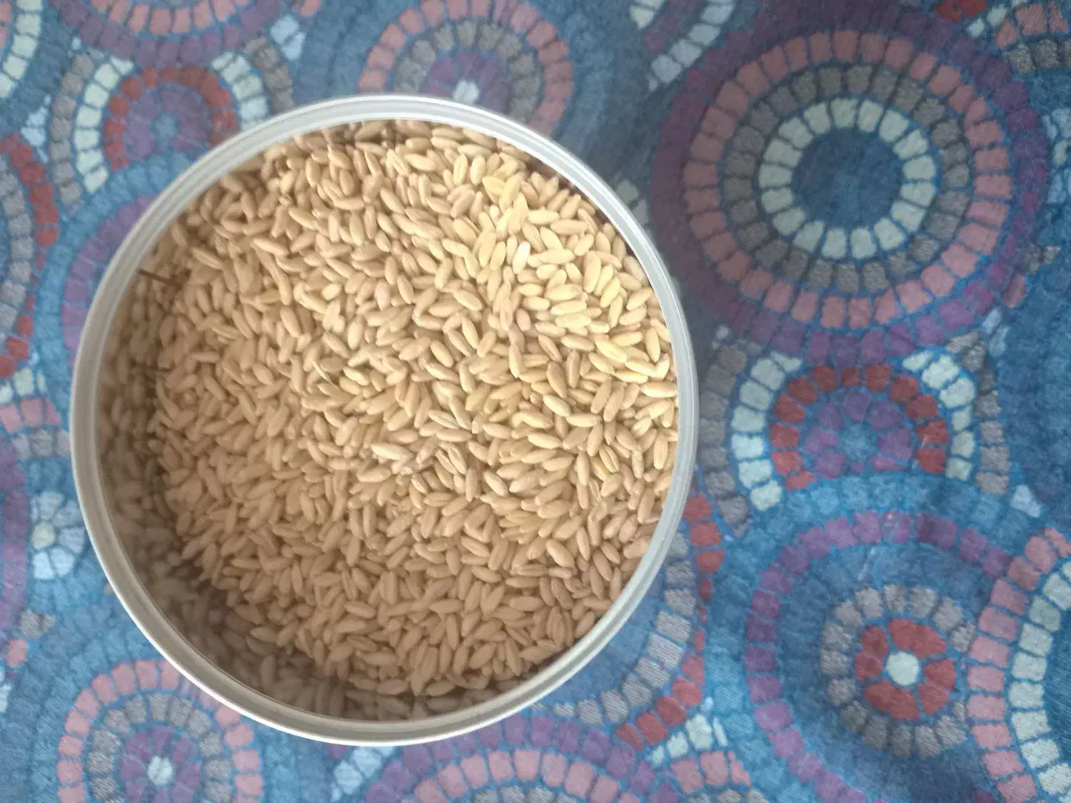 فروش گندم|گل و گیاه طبیعی|سقز, |دیوار