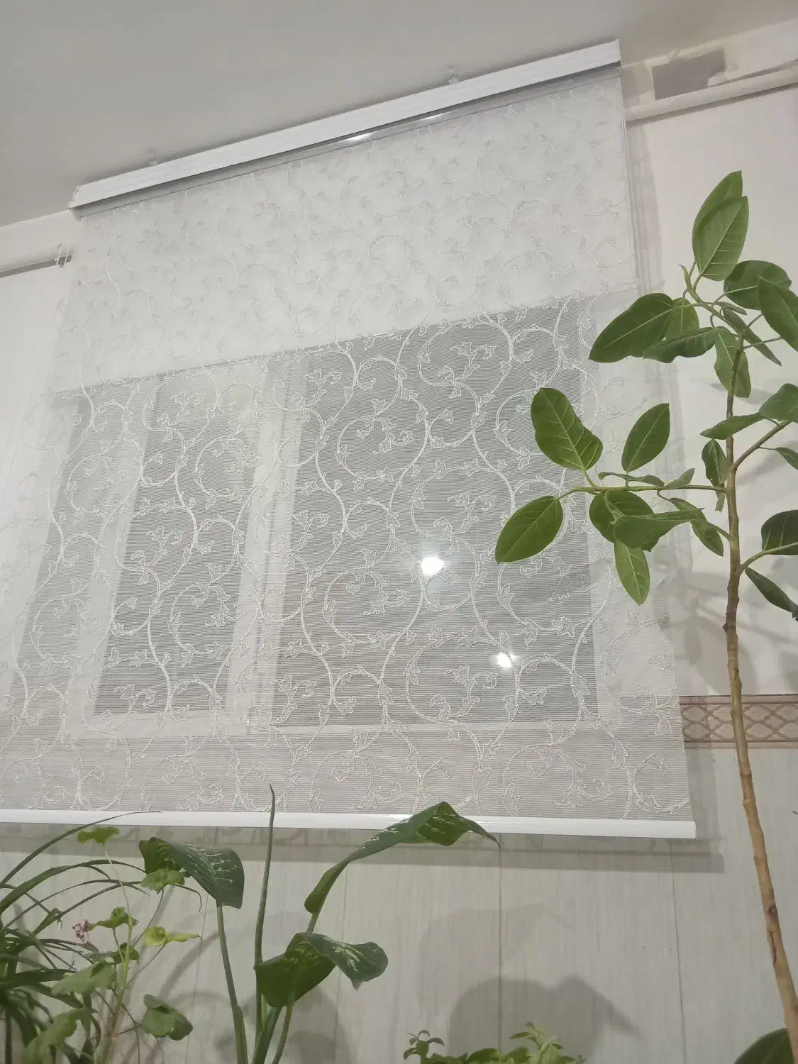 پرده زبرا|پرده، رانر، رومیزی|ابهر, |دیوار