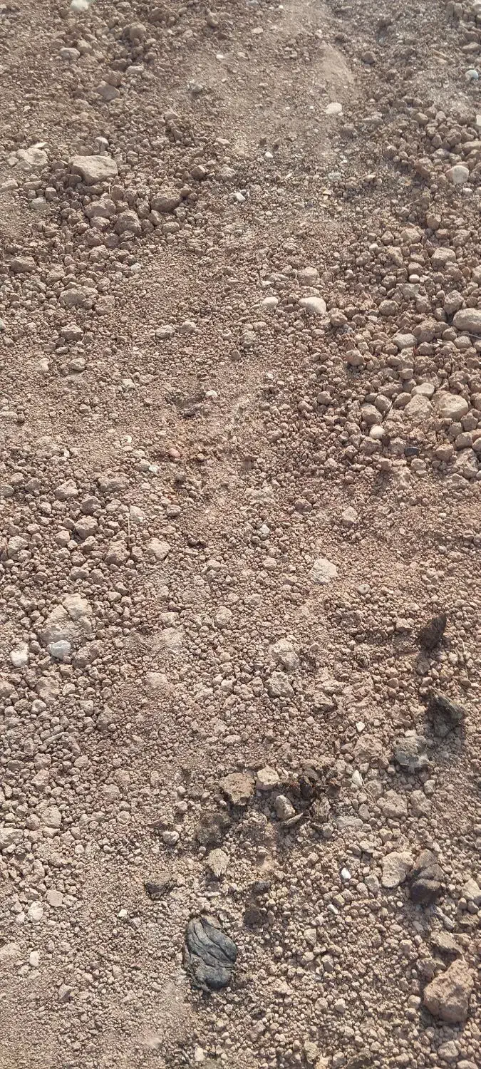 فروش زمین ساختمانی|فروش زمین و ملک کلنگی|کوهدشت, |دیوار