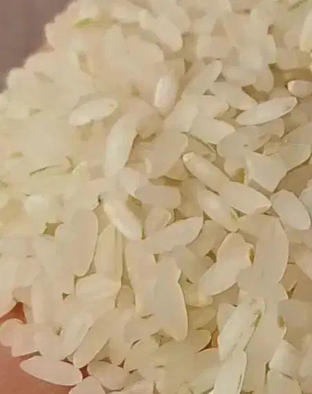 برنج کامفیروزی ولوبیا قرمز|عمدهفروشی|سیاخ دارنگون, |دیوار