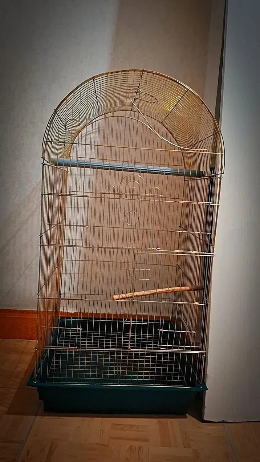 قفس تمیز و سالم طوطی|لوازم جانبی حیوانات|صومعه‌سرا, |دیوار