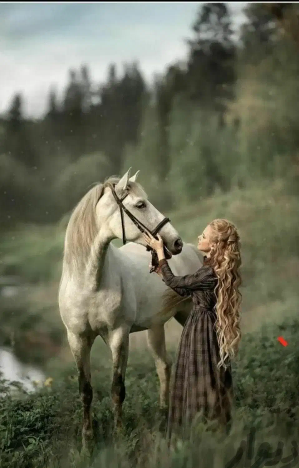 عکاسی حرفه ای|خدمات پذیرایی، مراسم|اهواز, کیانپارس |دیوار