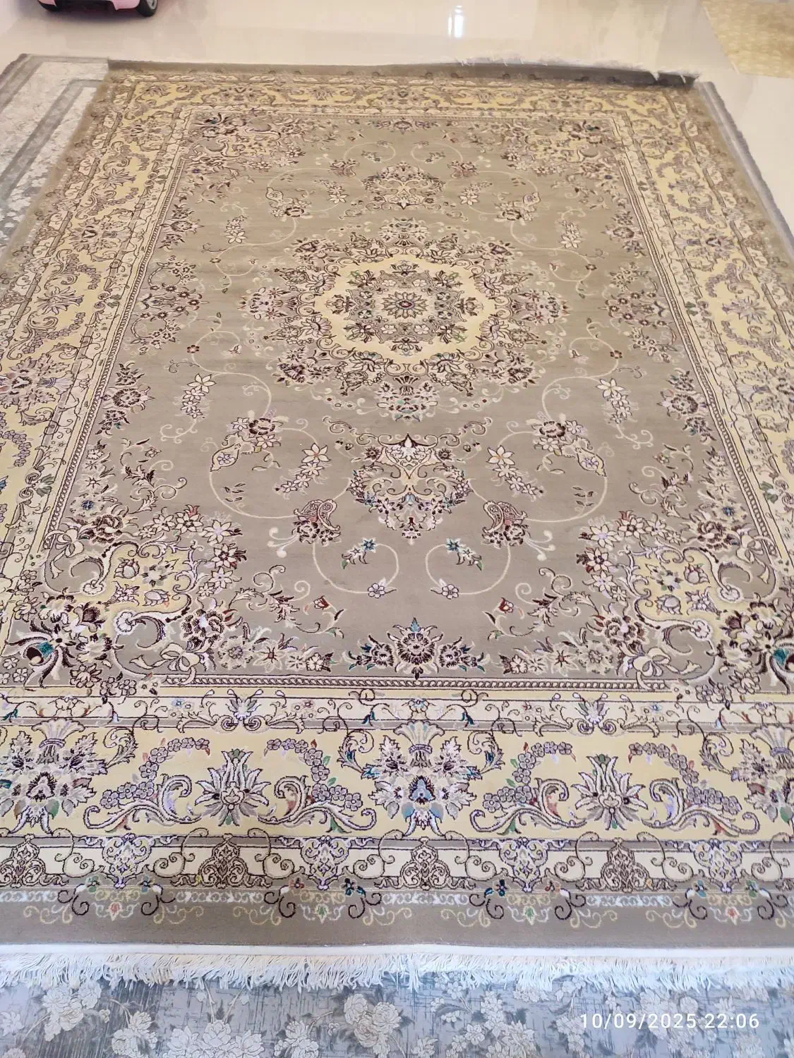 فرش ۱۲متری|فرش|زنجان, |دیوار