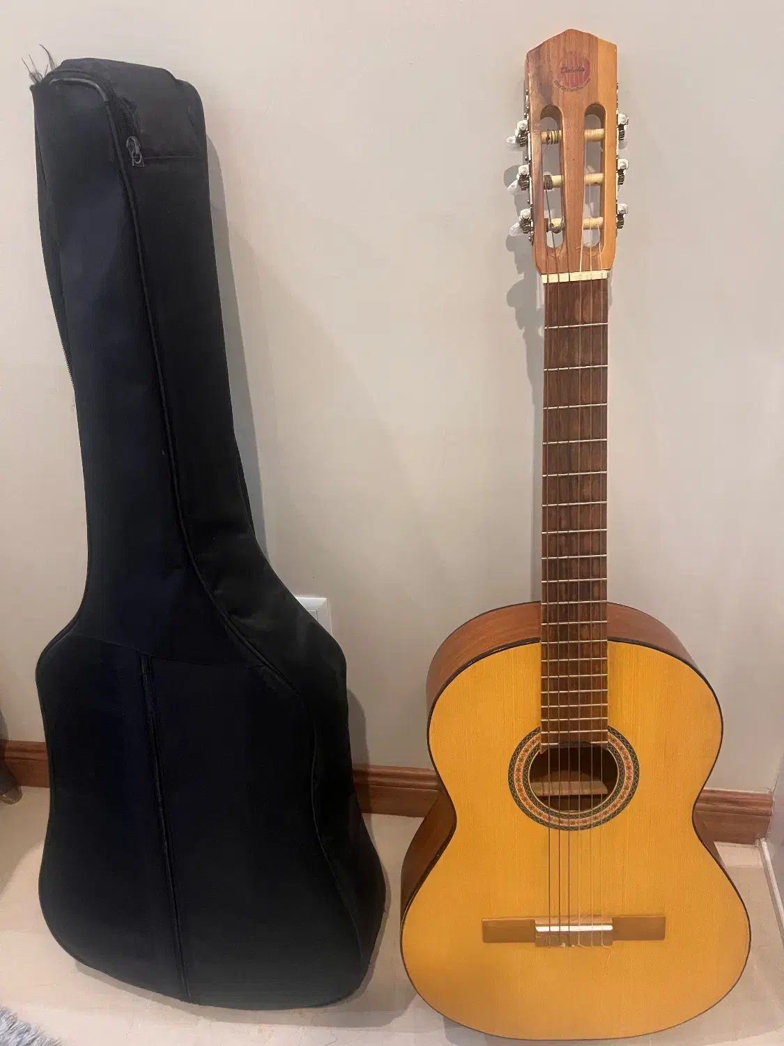 گیتار|گیتار، بیس، امپلیفایر|زنجان, |دیوار