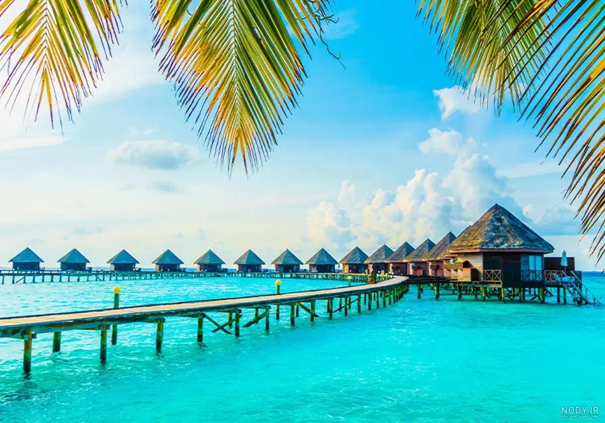 تور لحظه آخری 4 ستاره هوایی کیش با هدیه|تور و چارتر|شیراز, ارم|دیوار