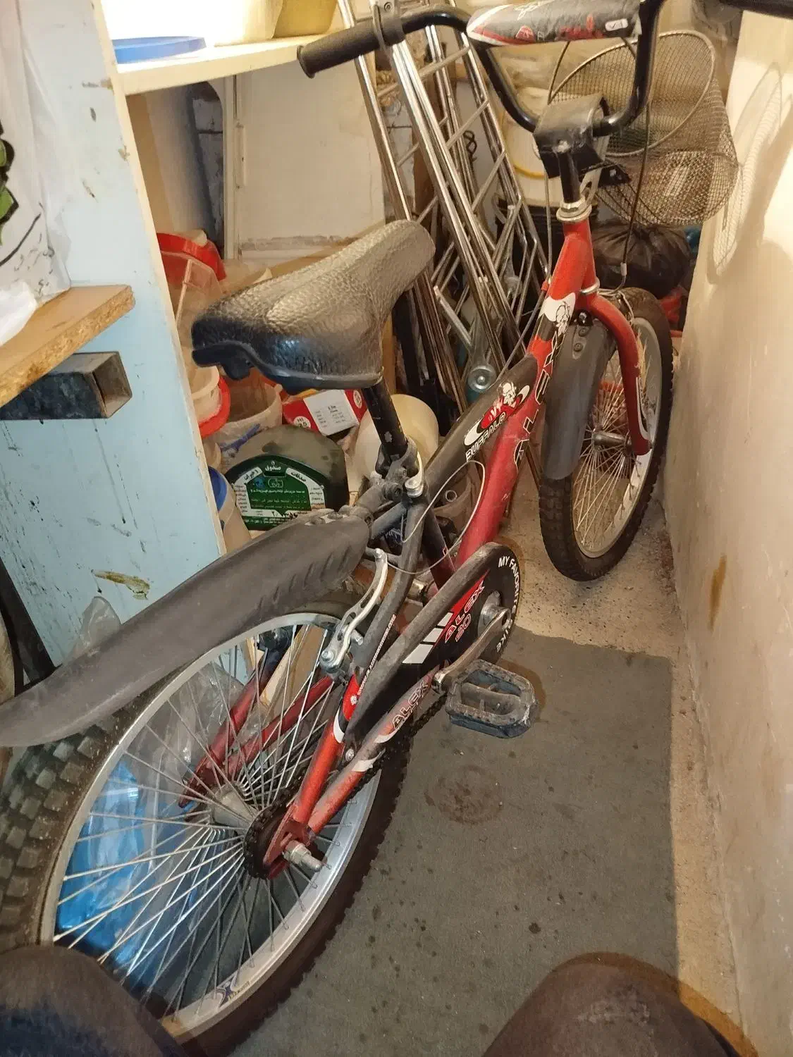 دوچرخه سالم عظیمیه کرج|دوچرخه، اسکیت، اسکوتر|کرج, عظیمیه|دیوار