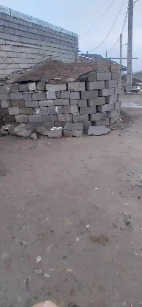 پهن. خوشگ.گاو.|خدمات باغبانی و درختکاری|انزل, |دیوار