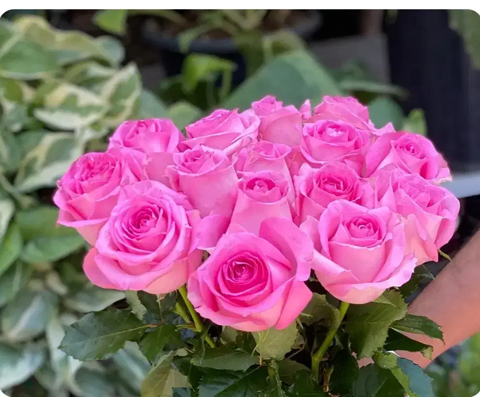 اجاره منزل مسکونی|اجارهٔ آپارتمان|اصفهان, بهرام‌آباد|دیوار