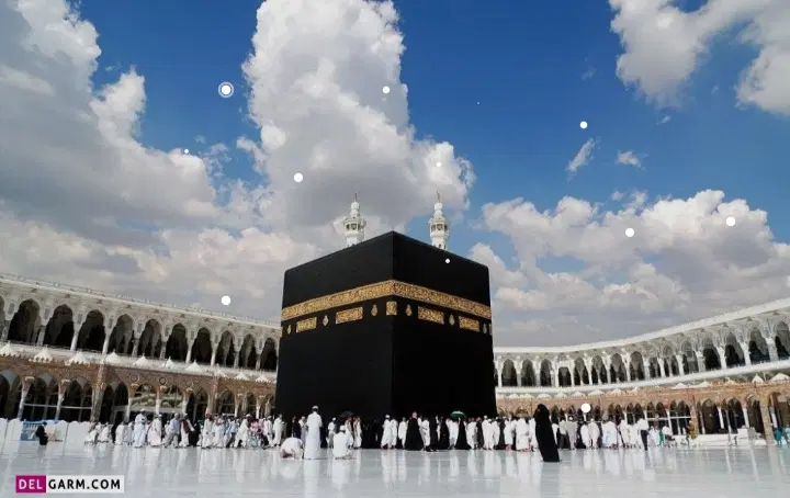 فیش حج|تور و چارتر|الیگودرز, |دیوار