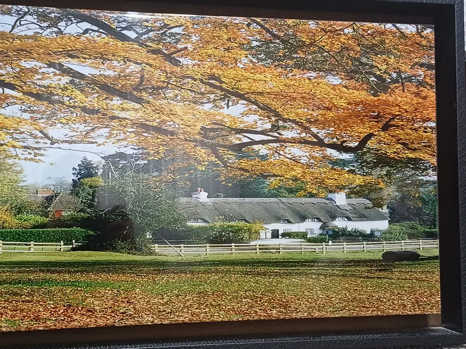 تابلو شب تاب|تابلو، نقاشی، عکس|کرمانشاه, |دیوار