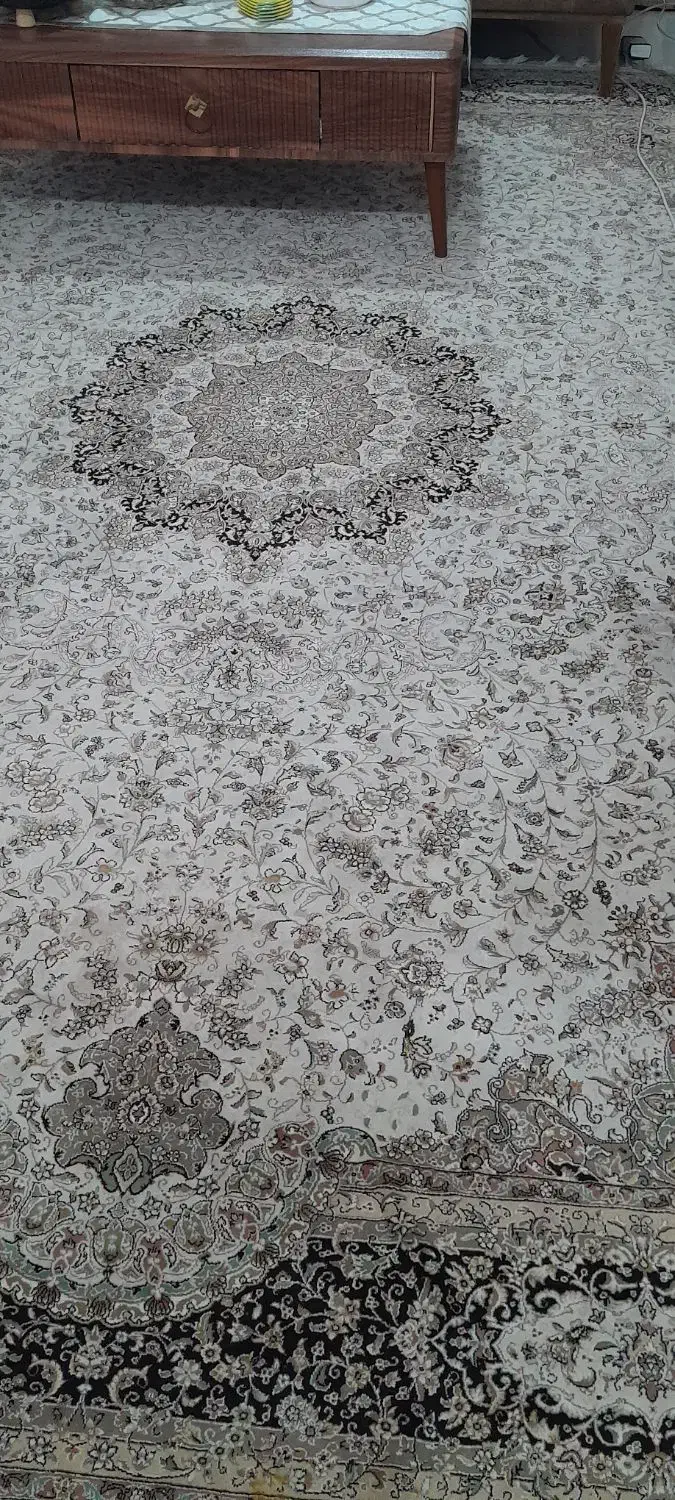 فرش|فرش|بندر انزلی, سید آسیه|دیوار