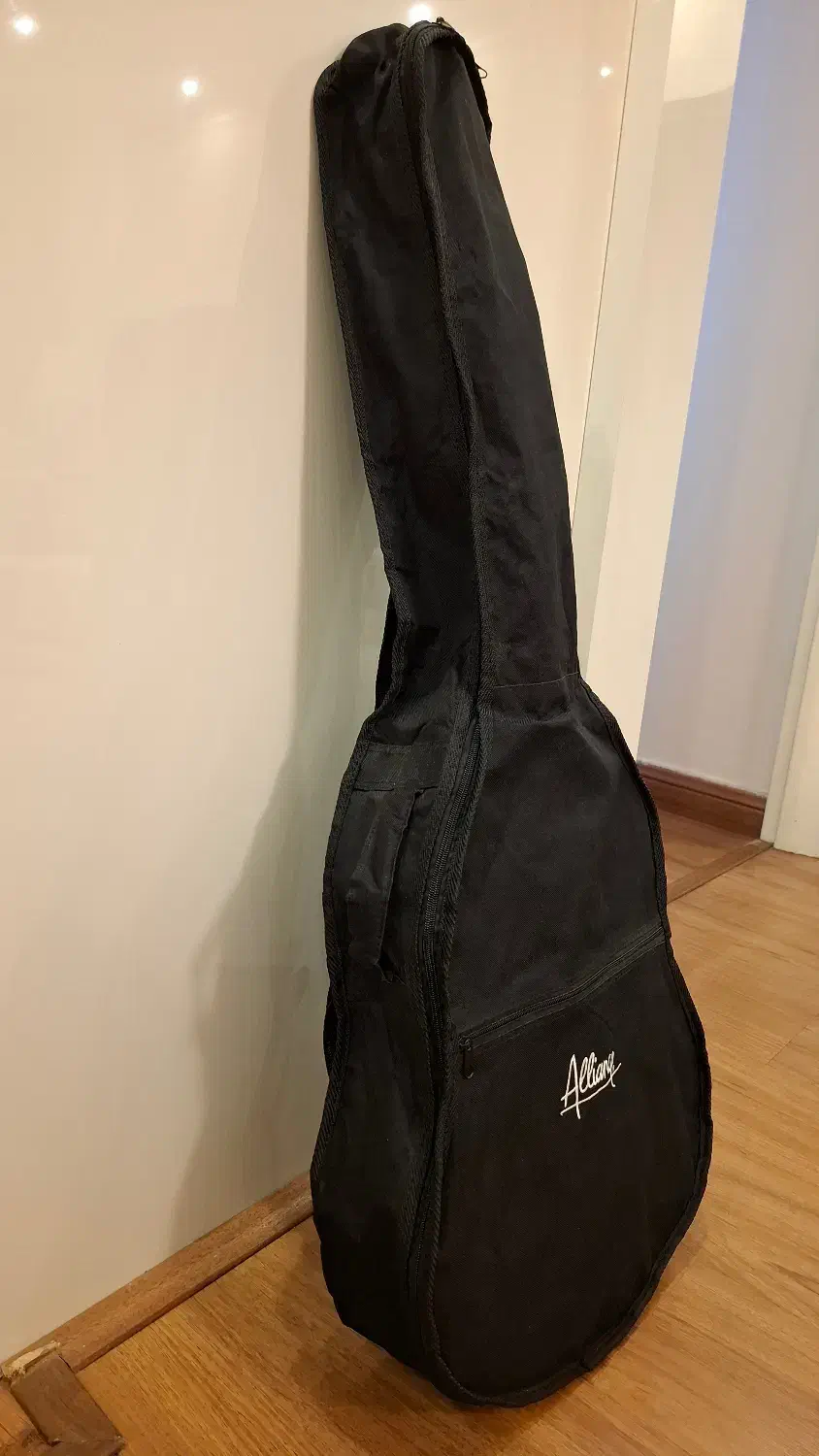 سافت کیس گیتار 4/4|گیتار، بیس، امپلیفایر|تهران, فردوس|دیوار