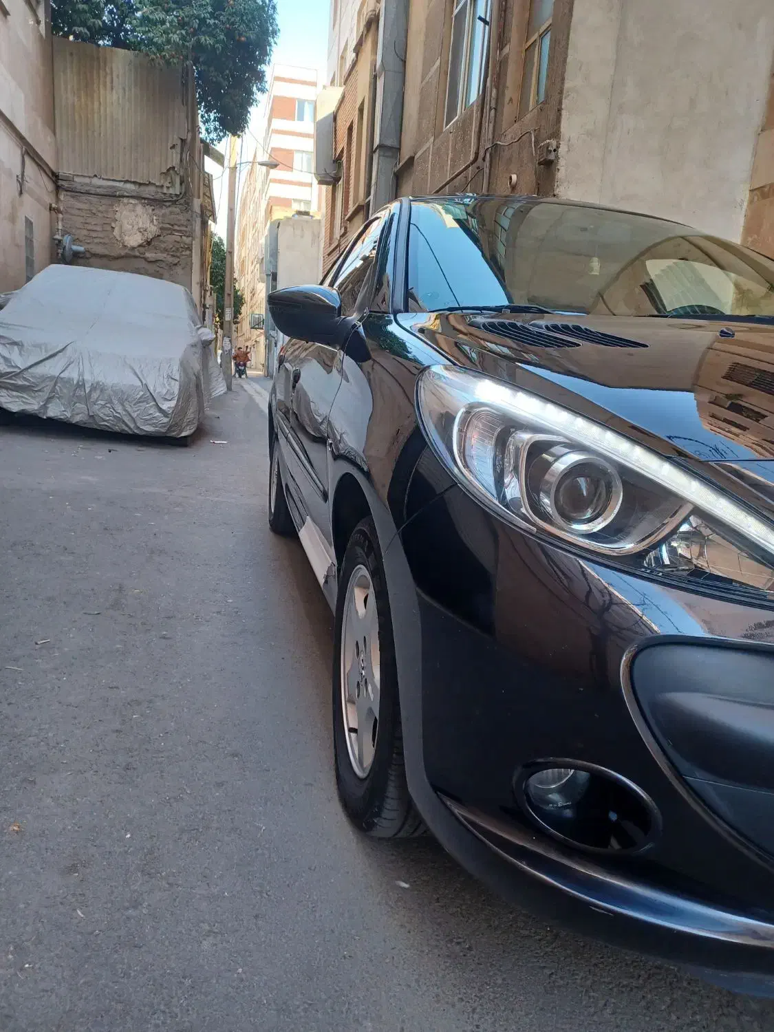 ۲۰۷ ۱۴۰۱ پانا|خودرو سواری و وانت|تهران, طیب|دیوار