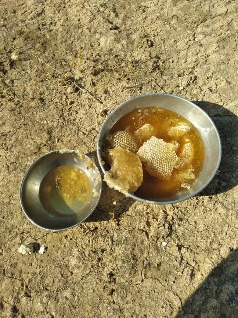 عسل|حراج|فولادشهر, B1|دیوار