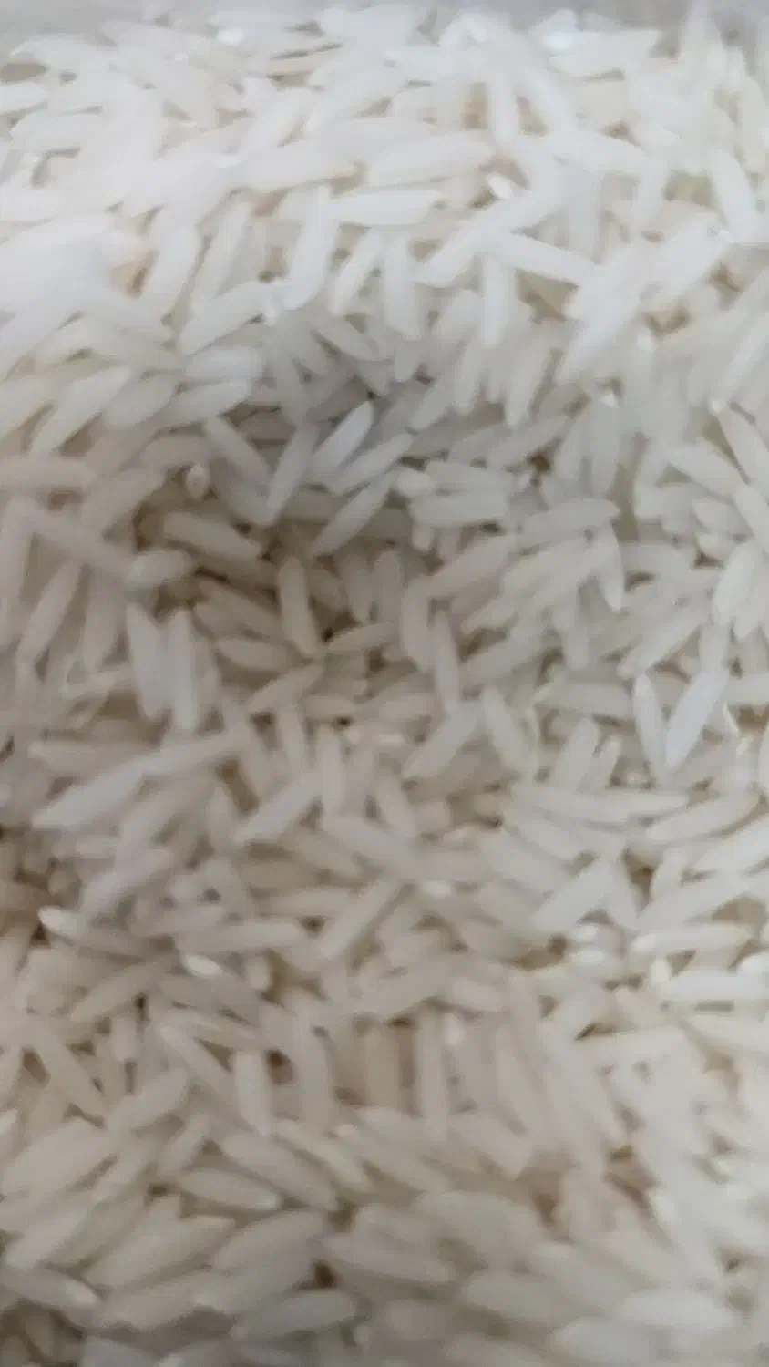 برنج هاشمی درجه یک به شرط پخت|خوردنی و آشامیدنی|تهران, شهرک هما|دیوار