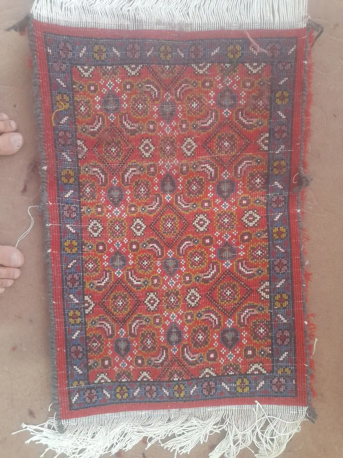 پادری|پادری|اردبیل, |دیوار