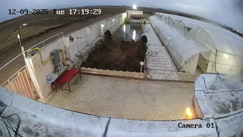 اجاره گلخانه ۲۵۰۰ متری|اجارهٔ دفتر صنعتی، کشاورزی، تجاری|بهار, |دیوار